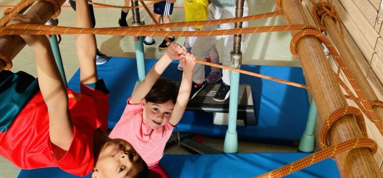 Abenteuer im Dschungel – Bewegungslandschaft in der Sporthalle