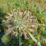 Threema_Work_2026-07-14_15-19-56 (1)
