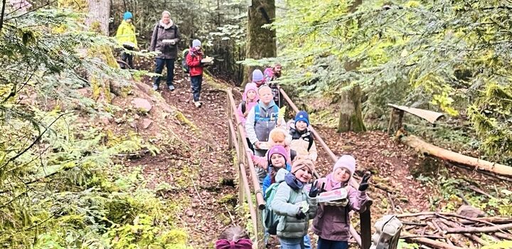 Die Klasse 2 unterwegs im Herbstwald